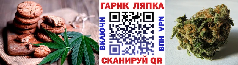 наркошоп  Лосино-Петровский  Canna-Cookies конопля 