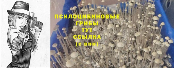 MDMA Осинники