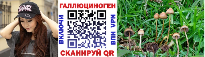 мега сайт  Лосино-Петровский  Галлюциногенные грибы мицелий 